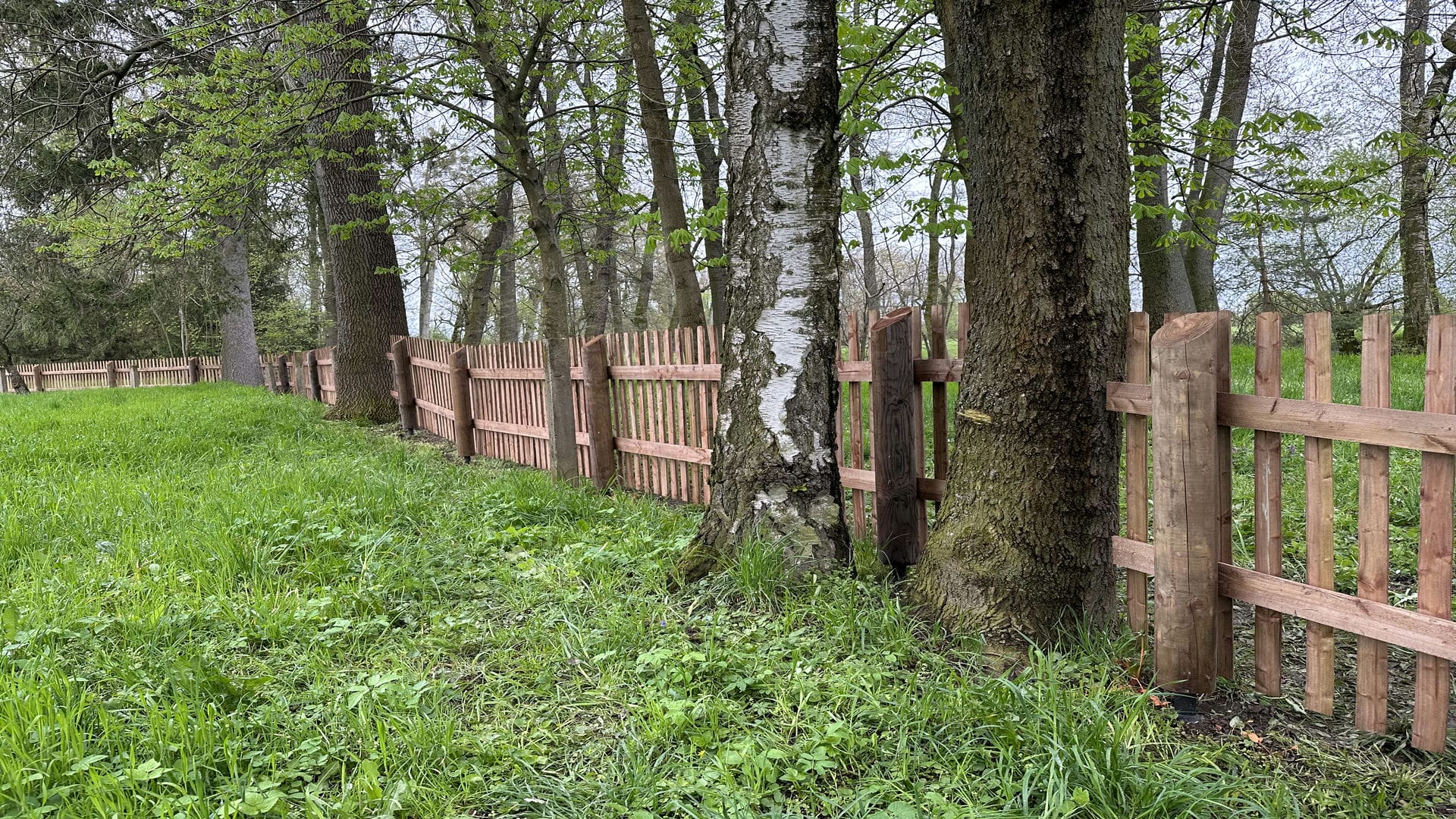 Obrázek 2 / Dřevěné ploty - strojně frézované   - realizace Holešovice 04-2023